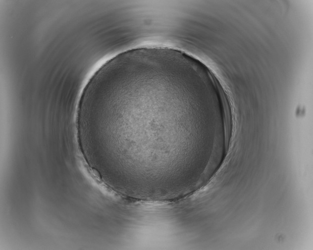 X0000091920864200709121537