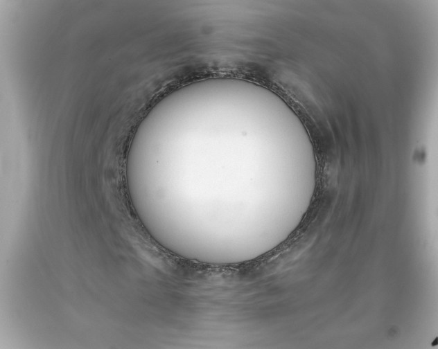 X0000091920865200709121537