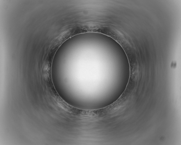 X0000091920866200709121537