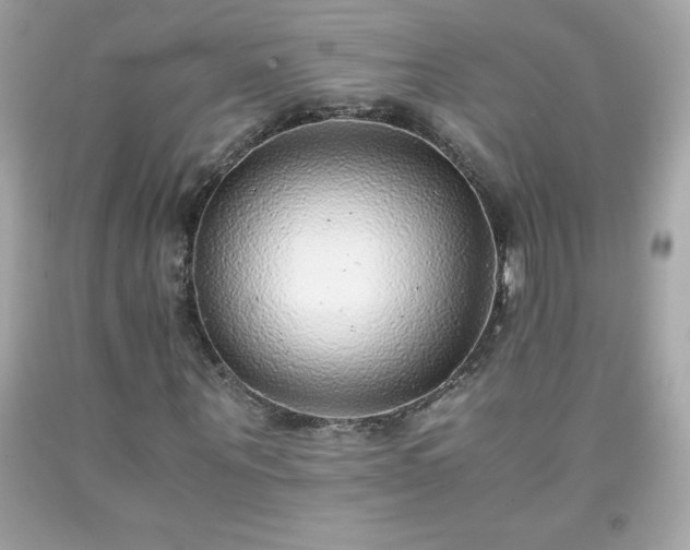 X0000091920867200709121536