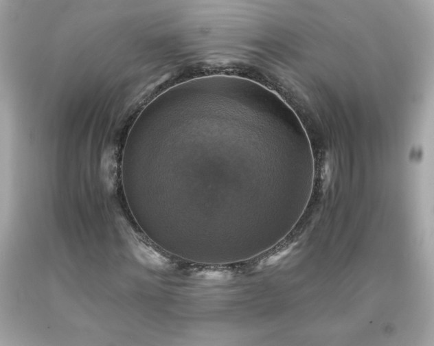 X0000091920868200709121536