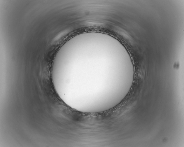 X0000091920869200709121536