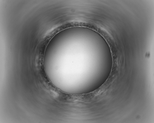 X0000091920870200709121536
