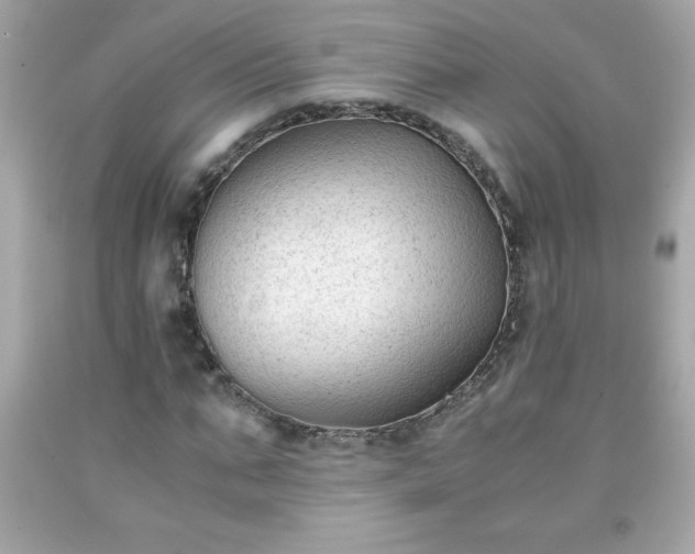 X0000091920871200709121536