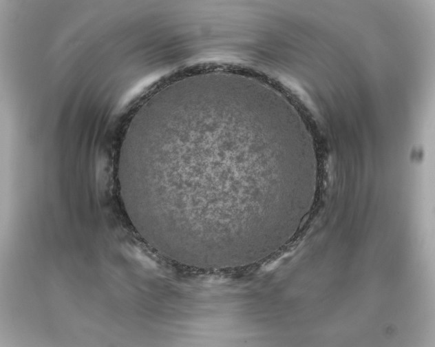 X0000091920872200709121536