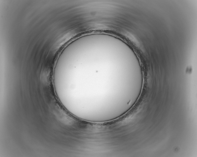 X0000091920873200709121536