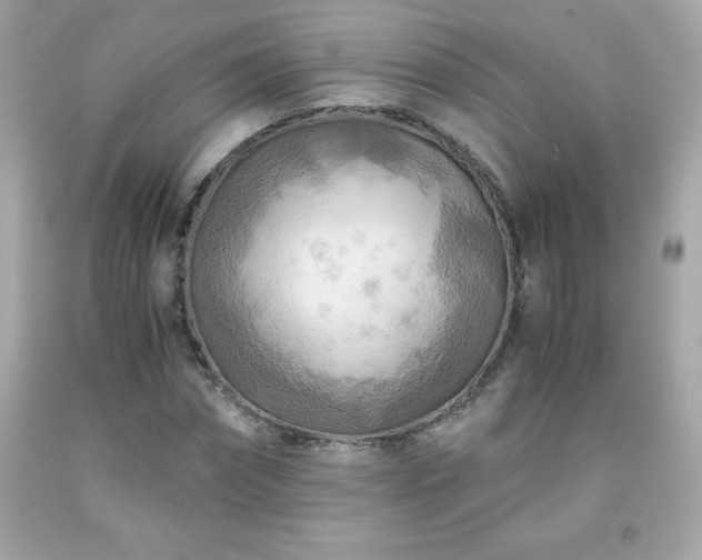 X0000091920874200709121536
