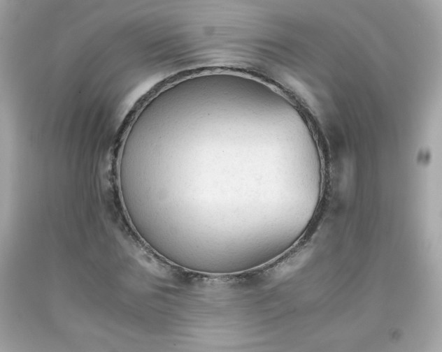 X0000091920875200709121536