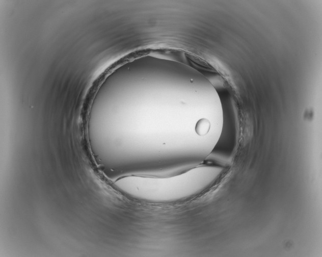 X0000091920876200709121536