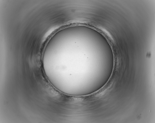 X0000091920878200709121536