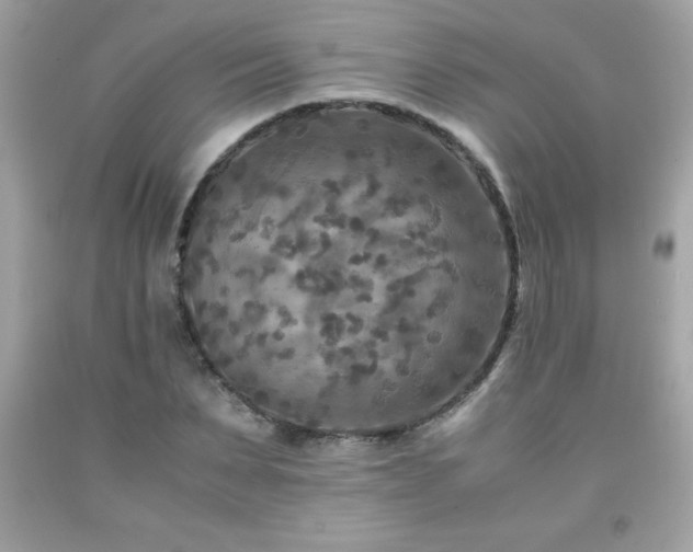 X0000091920879200709121536