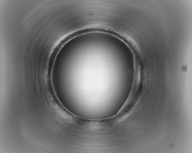 X0000091920880200709121536
