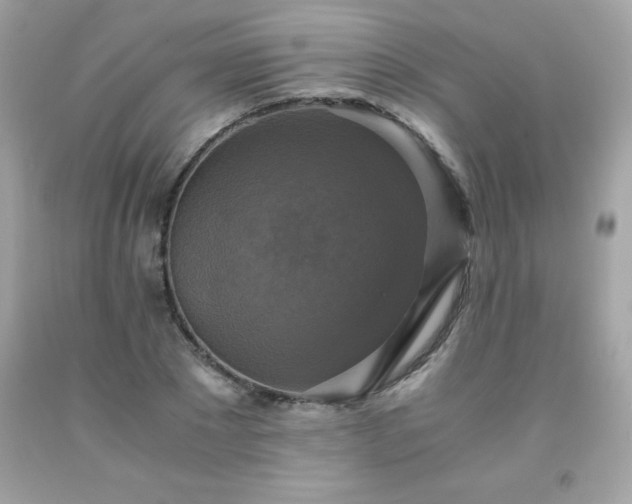 X0000091920881200709121536