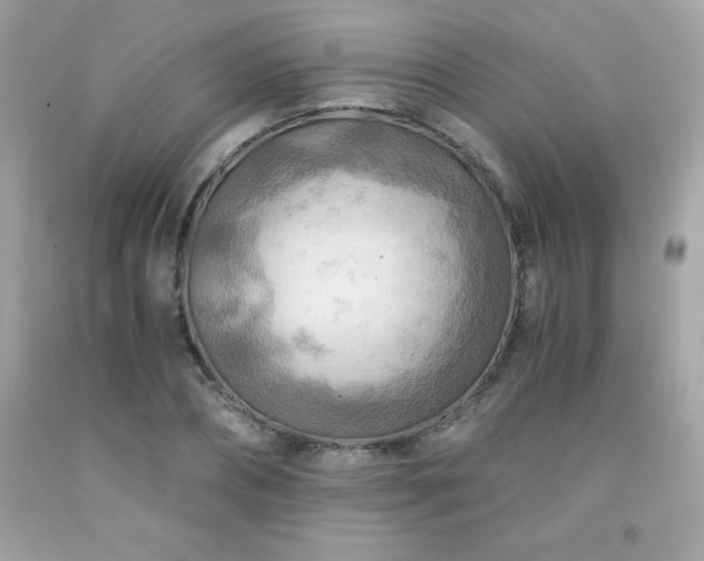 X0000091920882200709121536