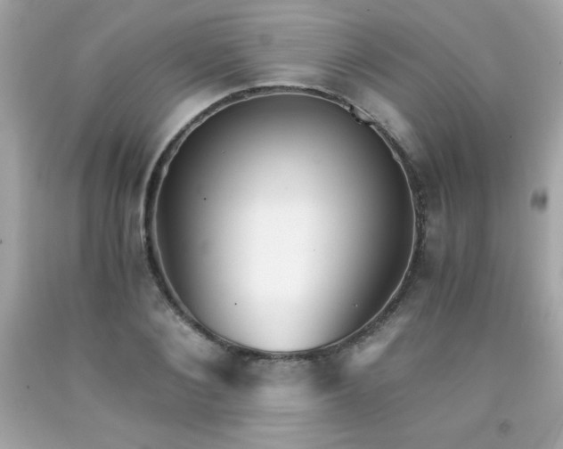 X0000091920884200709121536