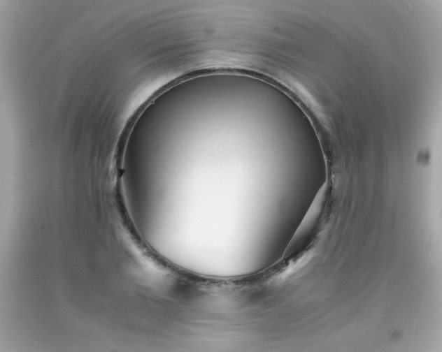 X0000091920885200709121536
