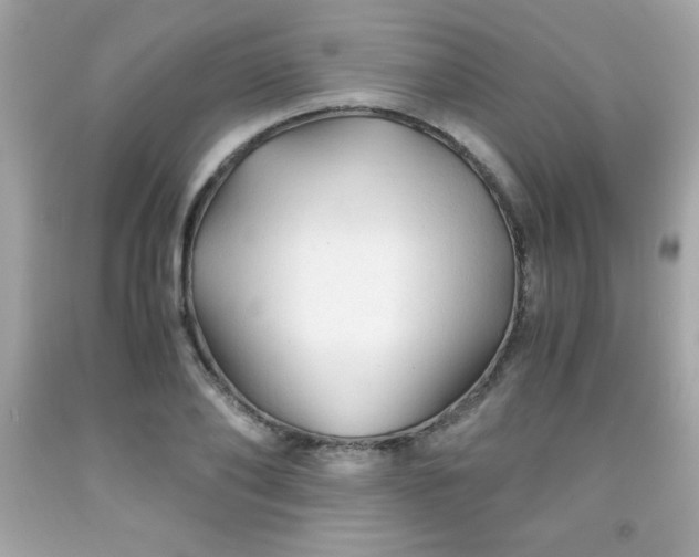 X0000091920886200709121536