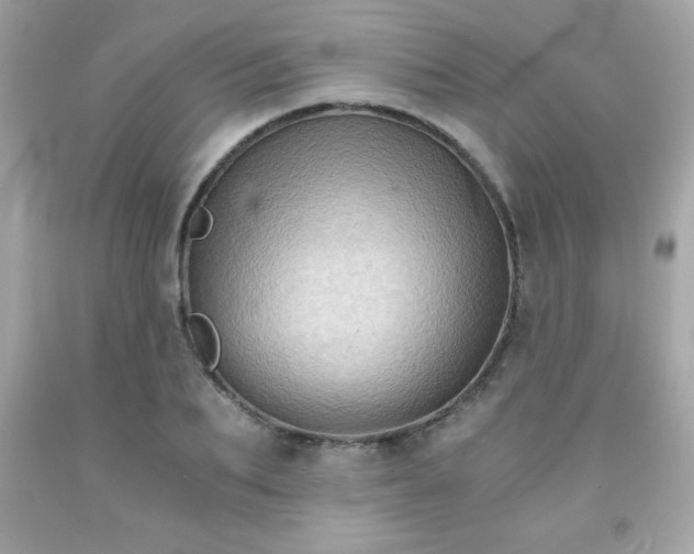 X0000091920887200709121536