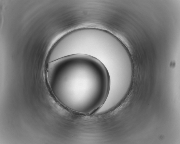 X0000091920888200709121536