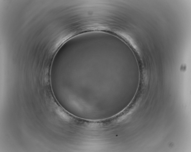 X0000091920889200709121536