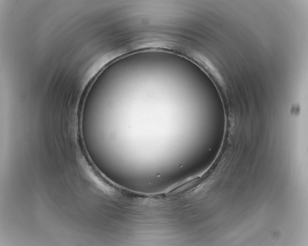 X0000091920890200709121536