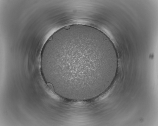X0000091920891200709121536
