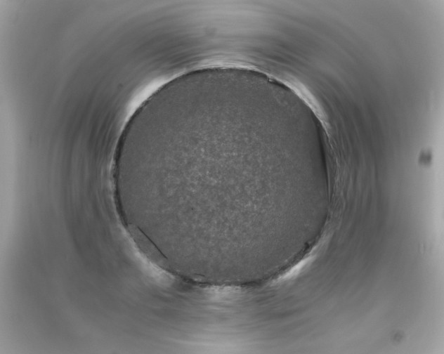 X0000091920893200709121536