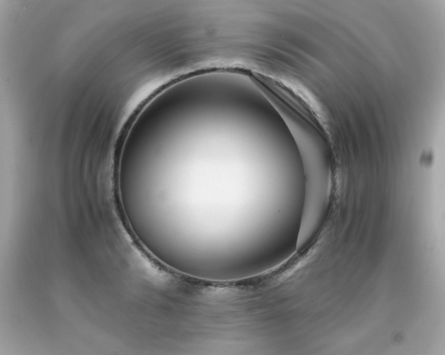 X0000091920894200709121536