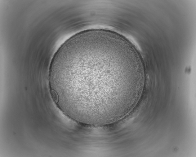 X0000091920895200709121536