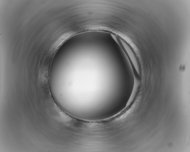 X0000091920897200709121536