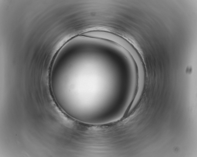 X0000091920898200709121536