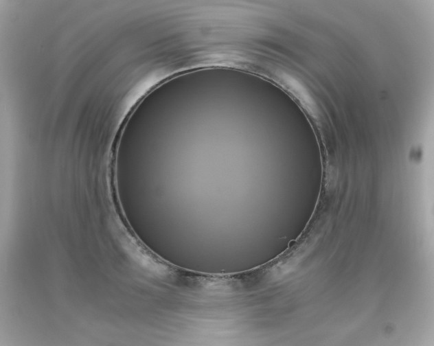 X0000091920899200709121536