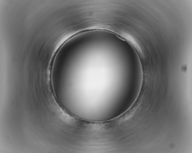 X0000091920900200709121536