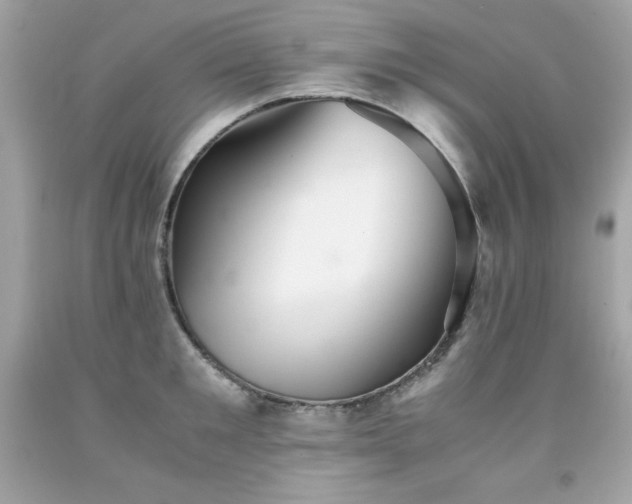 X0000091920901200709121536