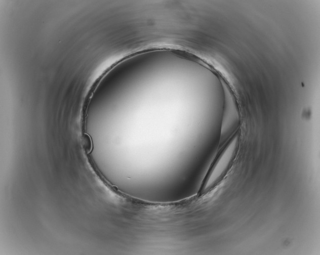 X0000091920902200709121536