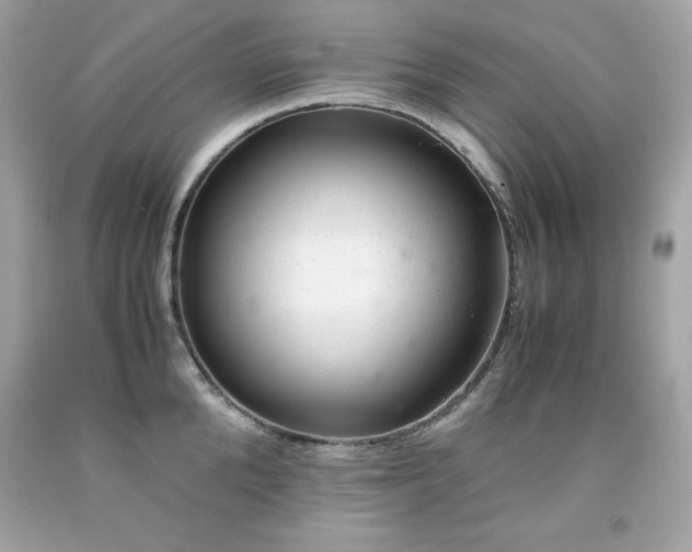 X0000091920904200709121536