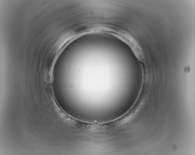 X0000091920905200709121536