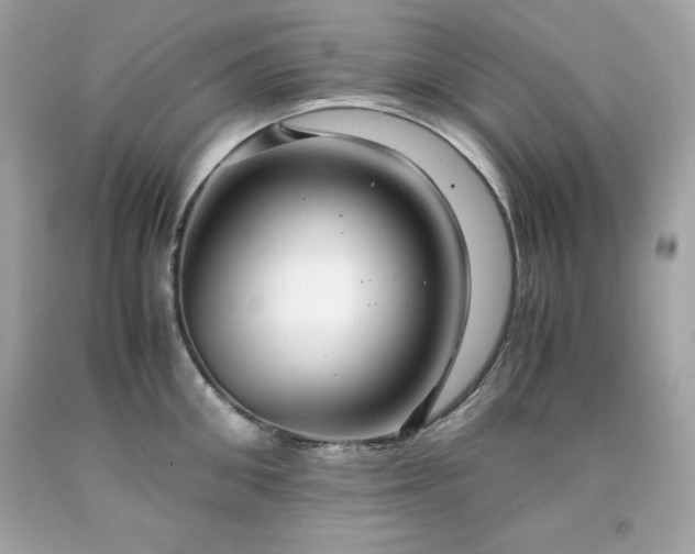 X0000091920906200709121536
