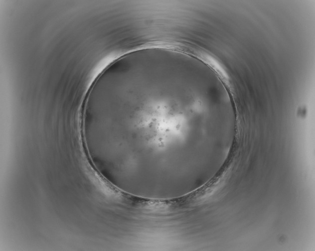 X0000091920907200709121536