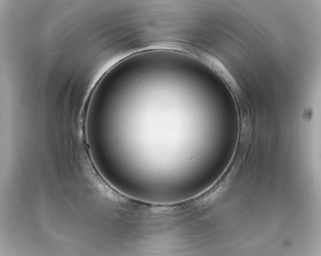 X0000091920908200709121536