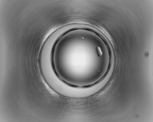 X0000091920909200709121536