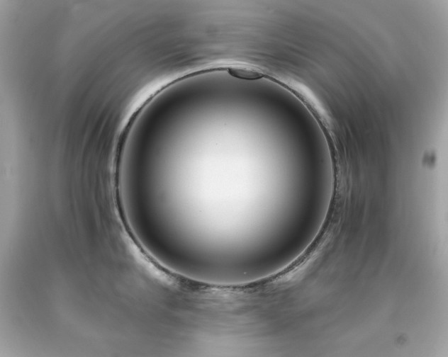 X0000091920910200709121536