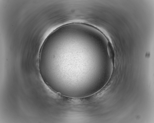X0000091920911200709121536