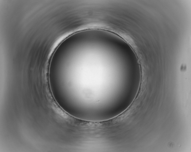 X0000091920912200709121536