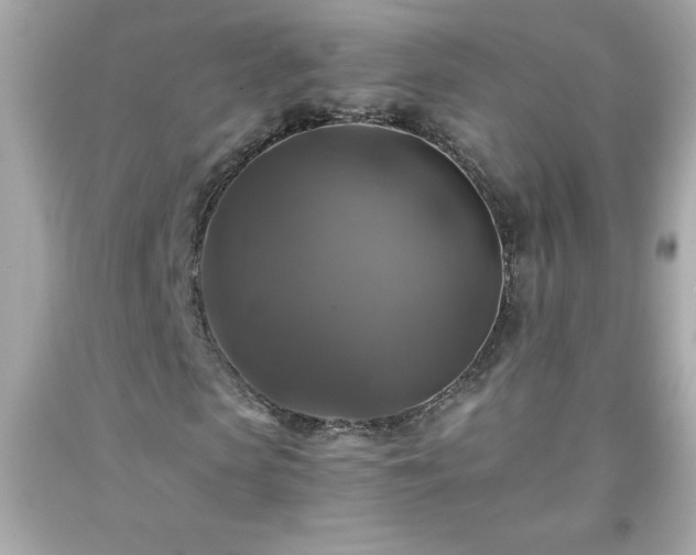 X0000091920913200709121535