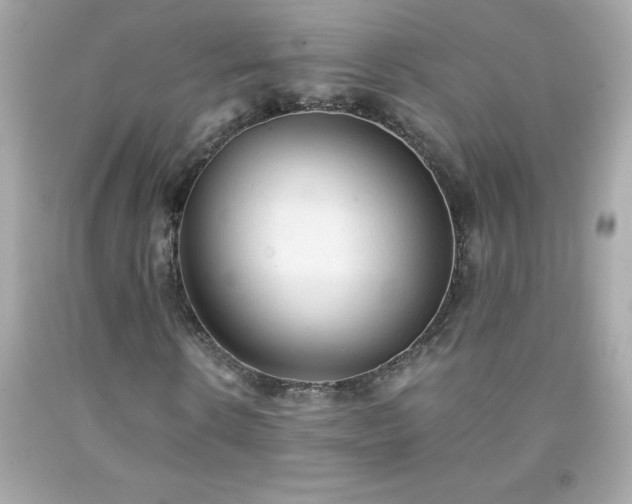 X0000091920914200709121535