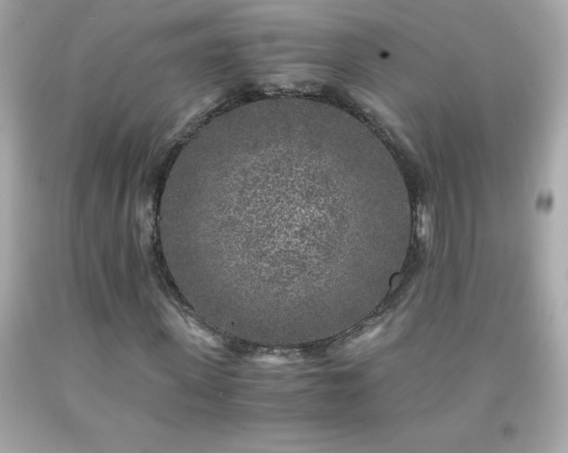 X0000091920915200709121535