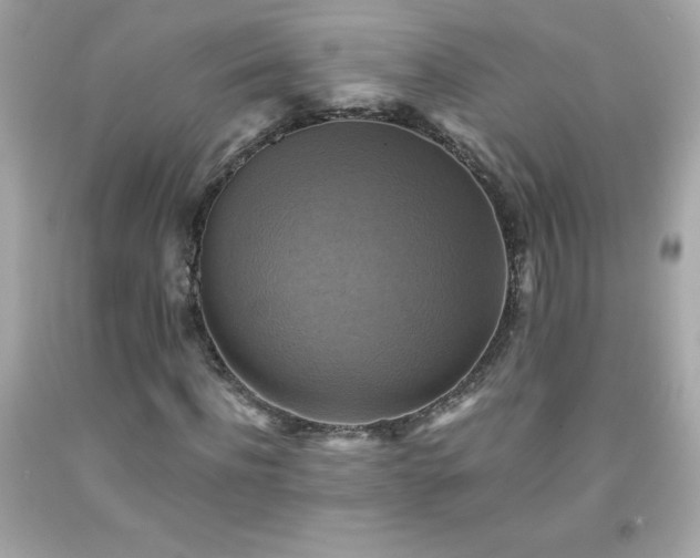 X0000091920916200709121535