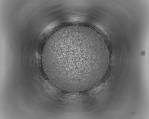 X0000091920917200709121535