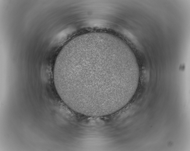 X0000091920918200709121535